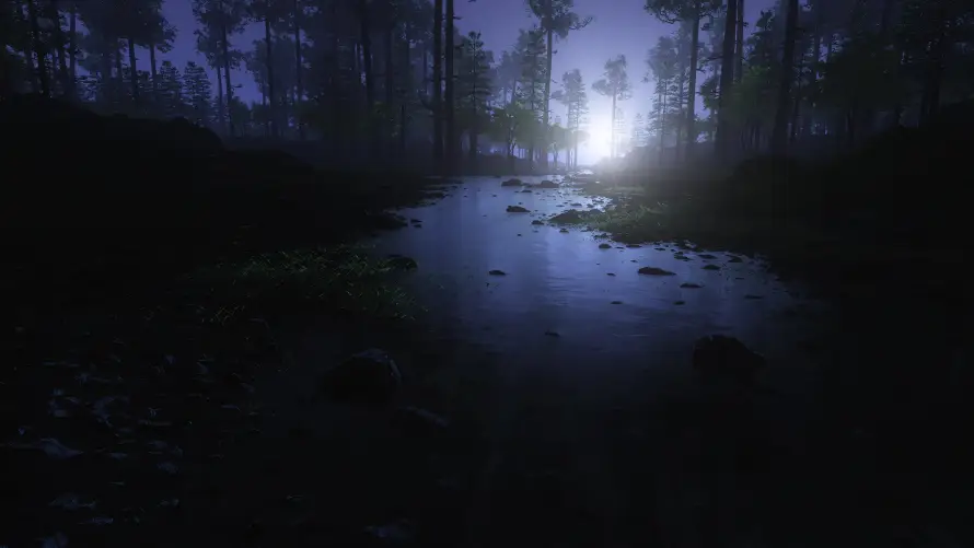 4k夜晚壁纸-寂静 - 月光-树林「哲风壁纸」