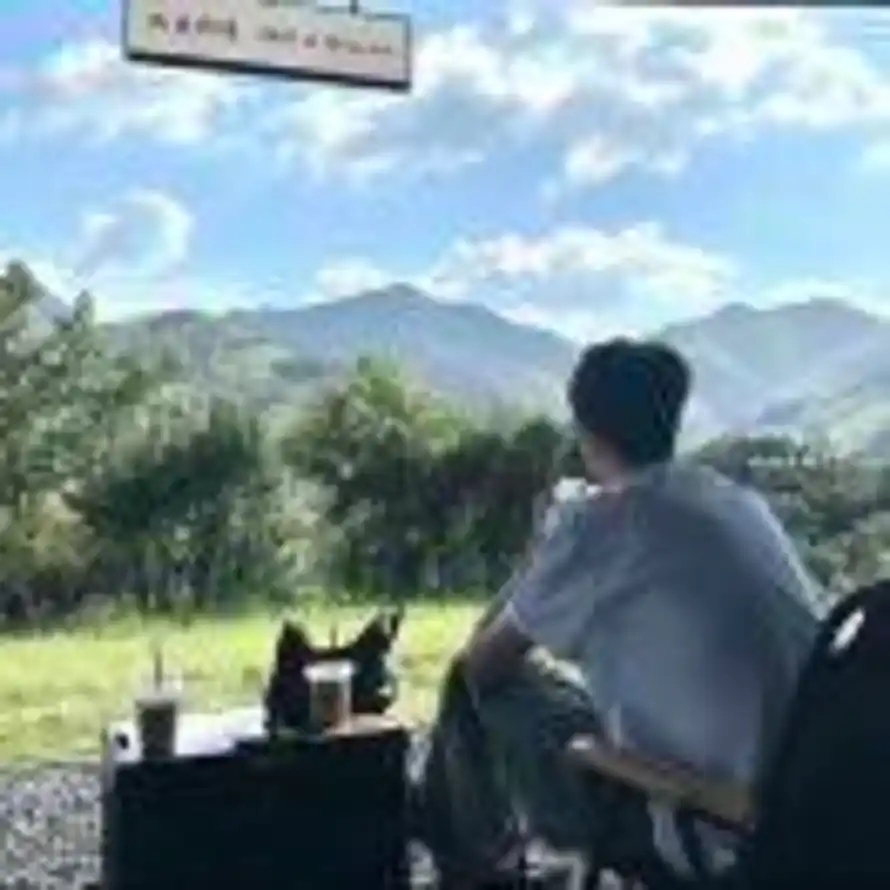夏天的头像