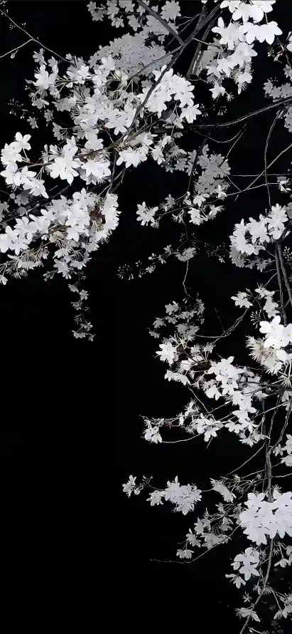 4k树枝壁纸 - 植物 - 花卉 - 黑白「哲风壁纸」