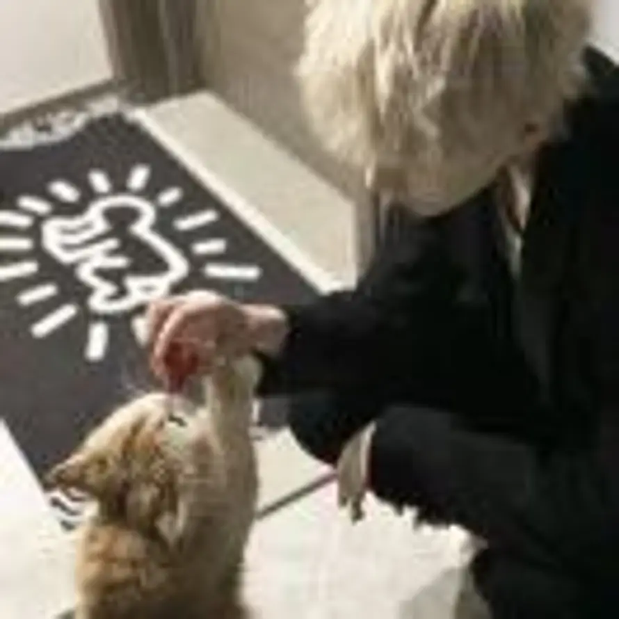 ほしづきよ的头像