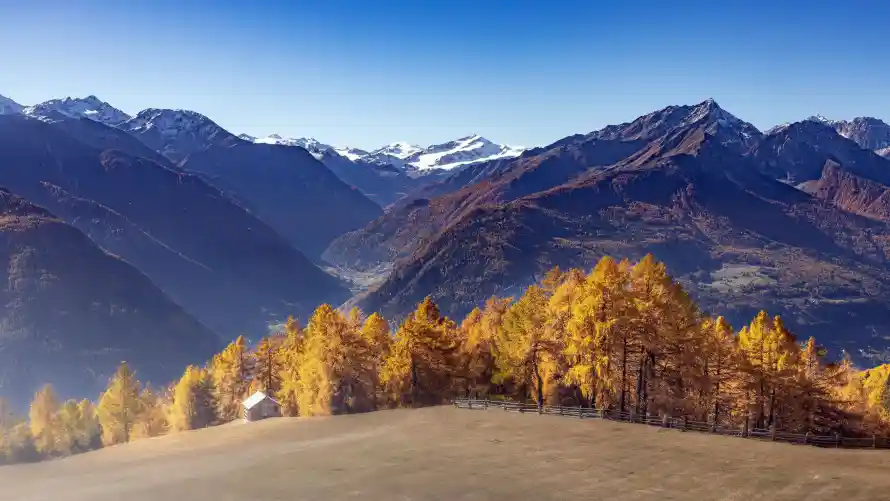 4k山脉壁纸-树林 - 秋季-美景「哲风壁纸」