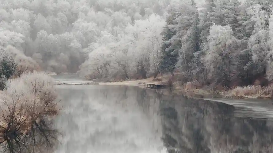 2k冬景壁纸-树林 - 河流-雪景「哲风壁纸」