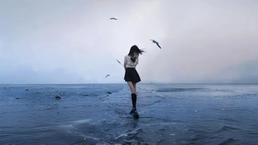 4k浅滩壁纸-海边 - 海鸥-美女「哲风壁纸」