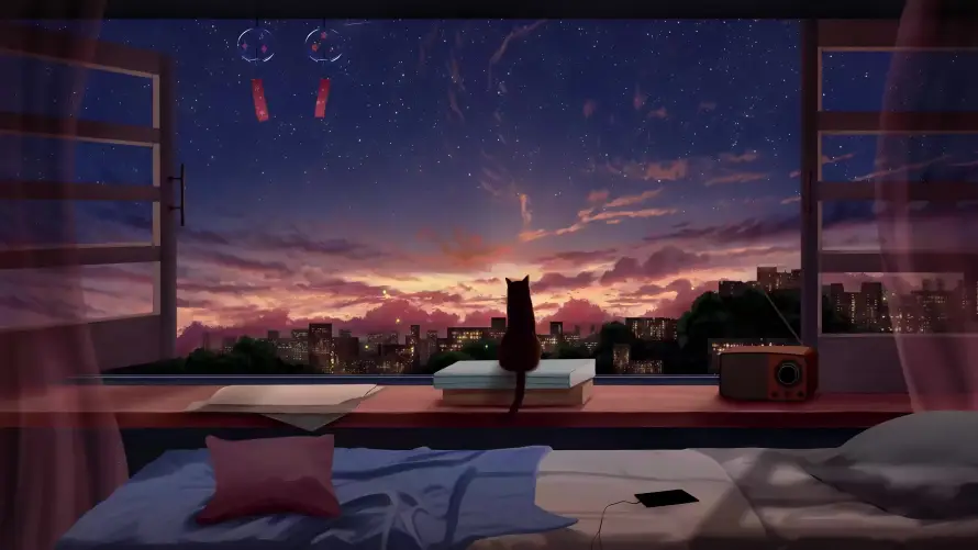 4k夜景壁纸-小猫 - 床铺-房间「哲风壁纸」