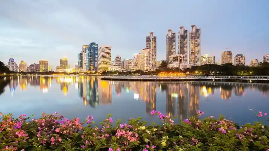 2k城市壁纸-花卉 - 风景-高楼「哲风壁纸」