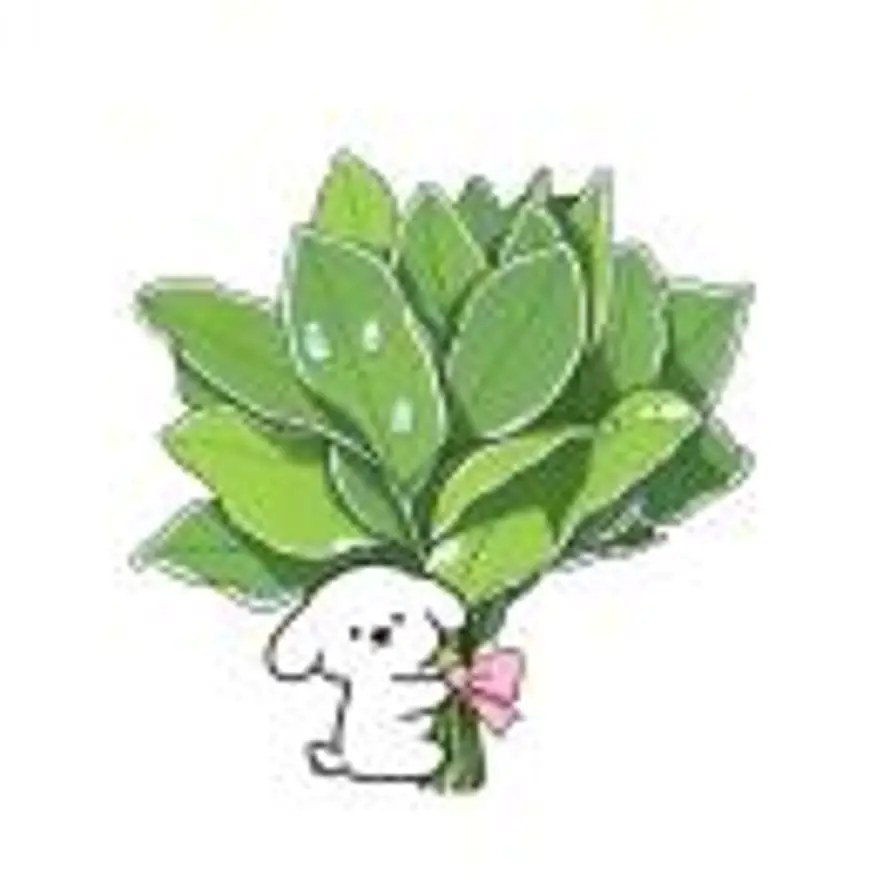 李拜天的头像