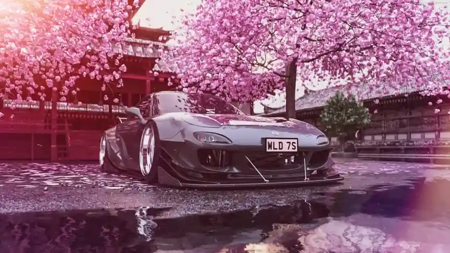 2k雨天壁纸-JDM - 改装车-樱花树「哲风壁纸」