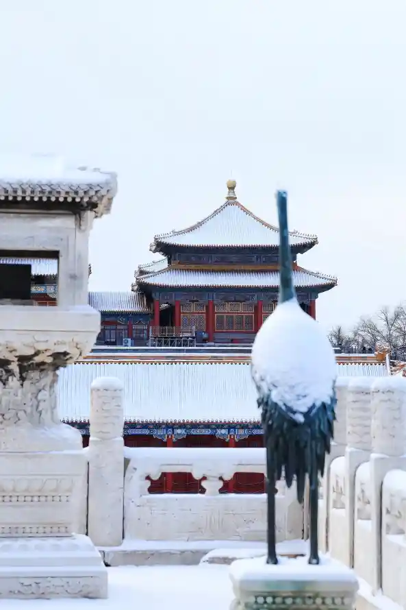 4k冬季壁纸 - 北京 - 故宫 - 白雪「哲风壁纸」