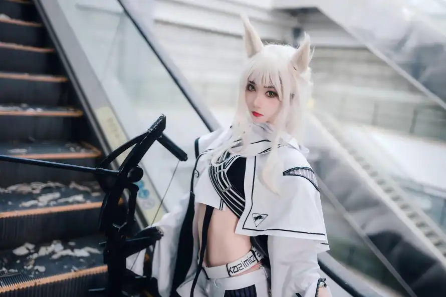 8k兽耳壁纸-白金 - 银发-cos「哲风壁纸」