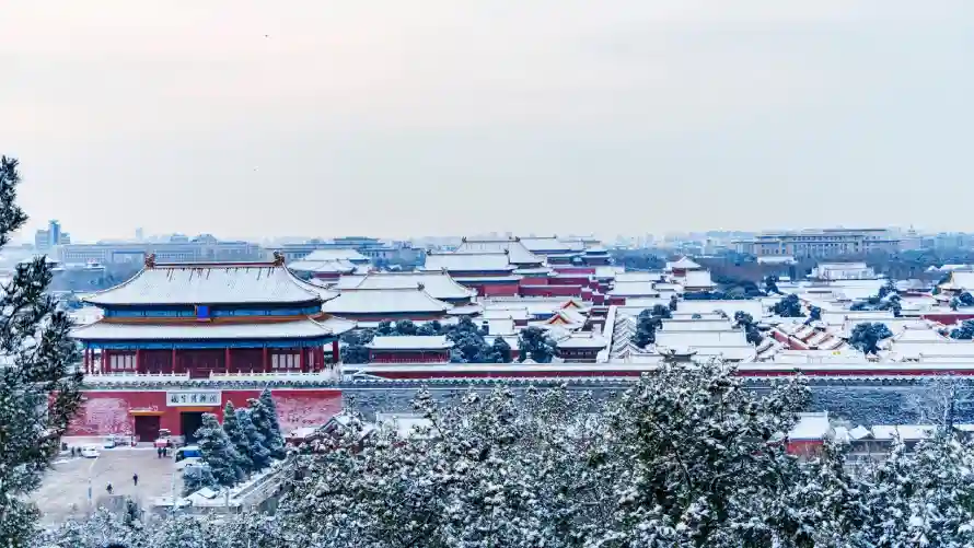 5k冬季壁纸-北京 - 故宫-树木「哲风壁纸」