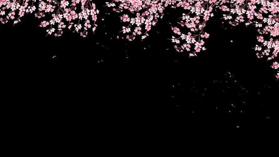 2k红温壁纸-花瓣 - 暗黑背景-樱花花瓣「哲风壁纸」