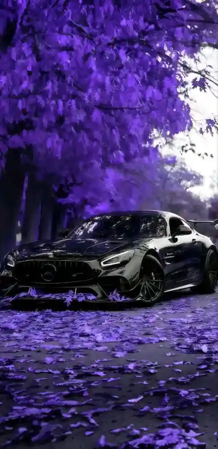 4k落叶壁纸 - 街道 - 跑车 - AMG「哲风壁纸」