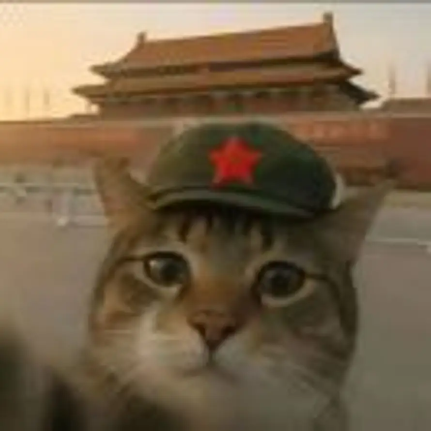 少时白的头像