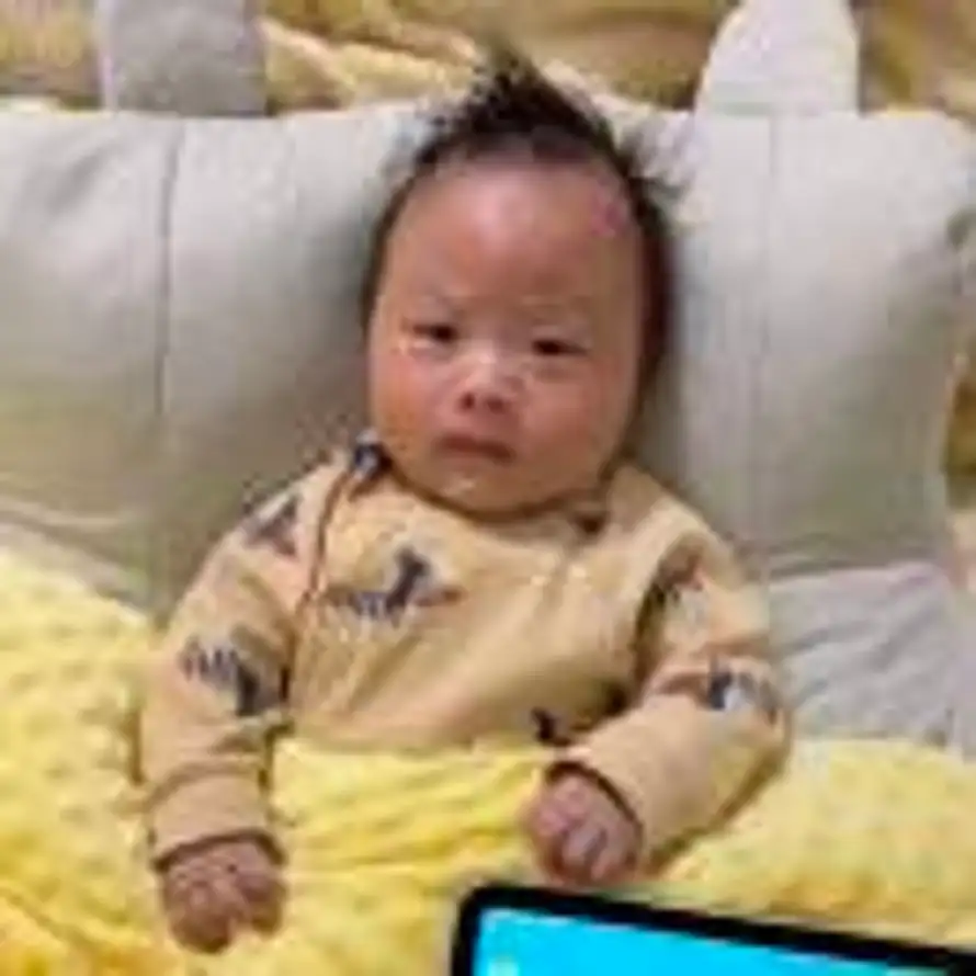 🏠🐑的头像