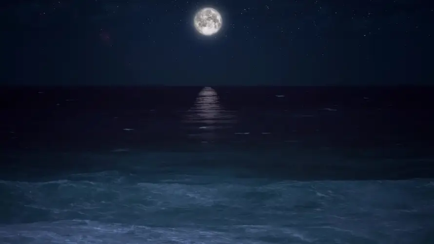 3k夜晚壁纸-夜空 - 宁静-月光「哲风壁纸」