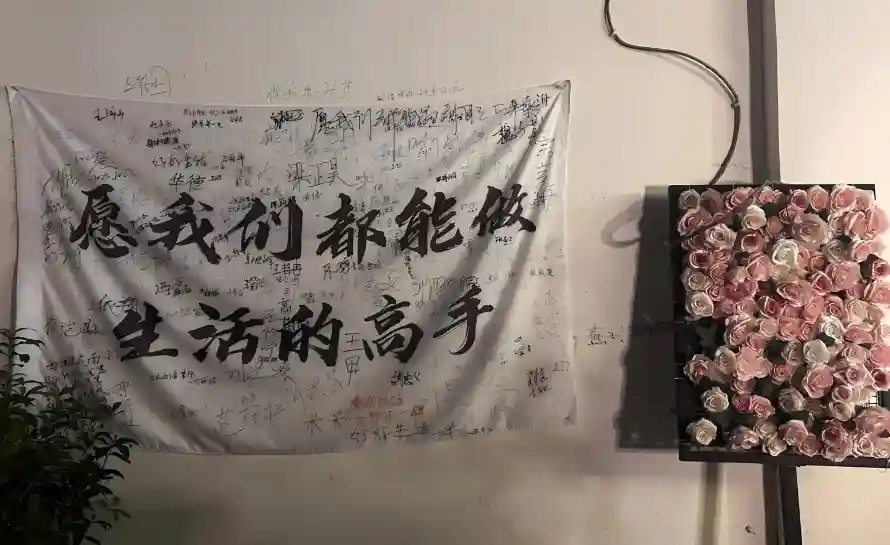 2k文字壁纸-白布 - 绿植-花束「哲风壁纸」