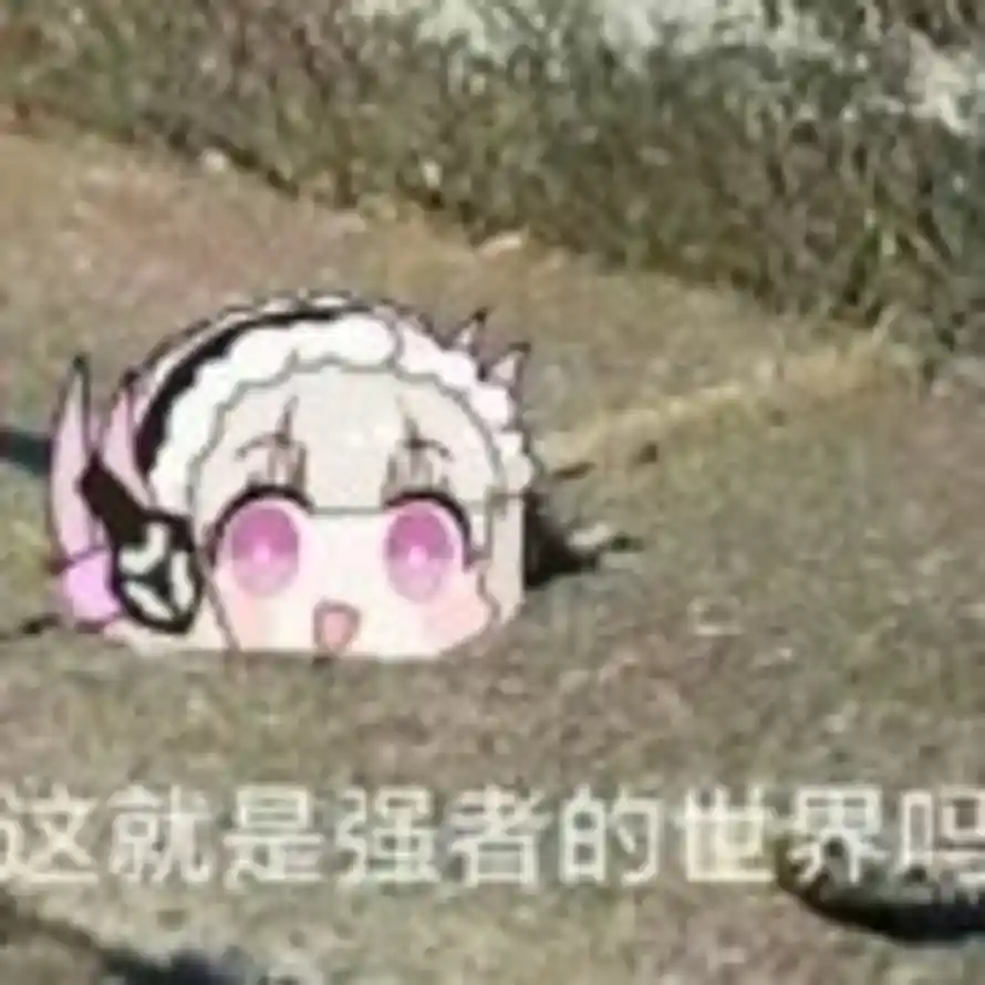 长流的头像