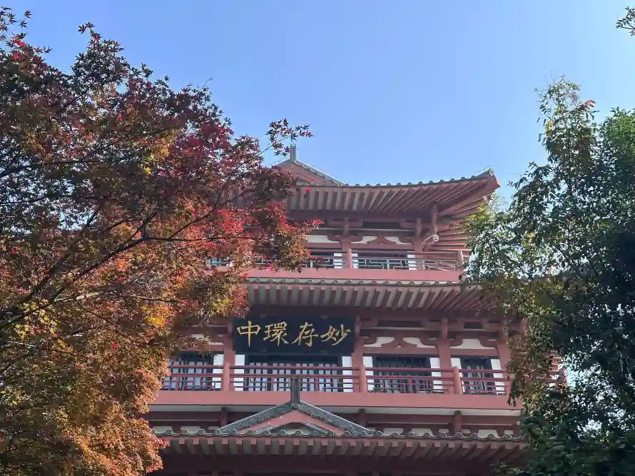 4k南京壁纸 - 园林 - 建筑 - 枫叶「哲风壁纸」 4k南京壁纸 - 园林 - 建筑 - 枫叶「哲风壁纸」