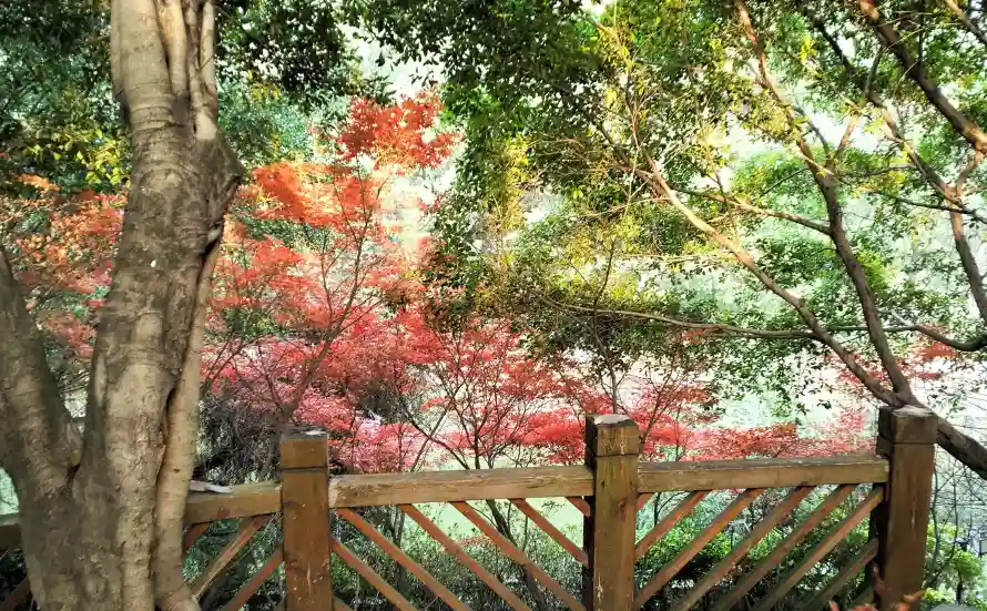 3k光影壁纸-美 - 宁静-户外「哲风壁纸」