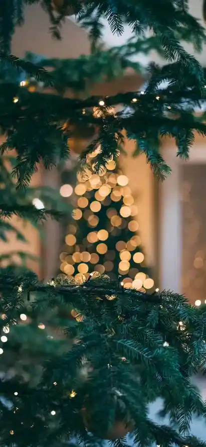 4k圣诞壁纸 - 壁纸 - 夜晚 - 室内「哲风壁纸」