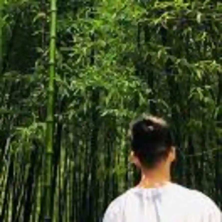 苦旅的头像