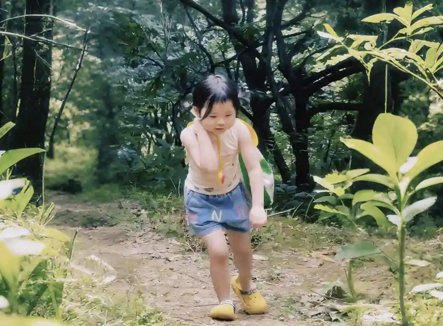 2k儿童壁纸-夏日 - 小路-户外「哲风壁纸」