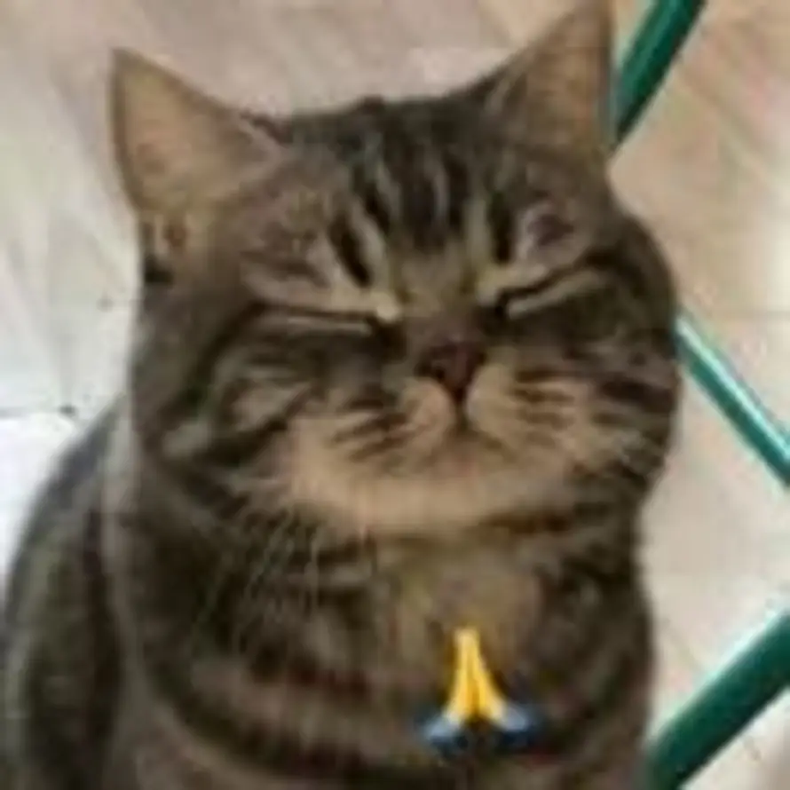 宝蛋儿的头像