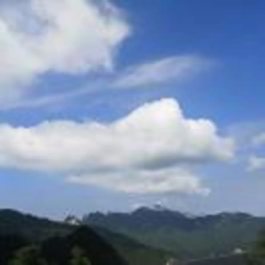 申的头像