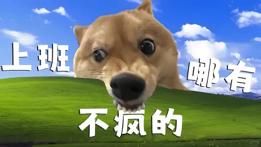 2k上班壁纸-狗 - 疯-幽默「哲风壁纸」