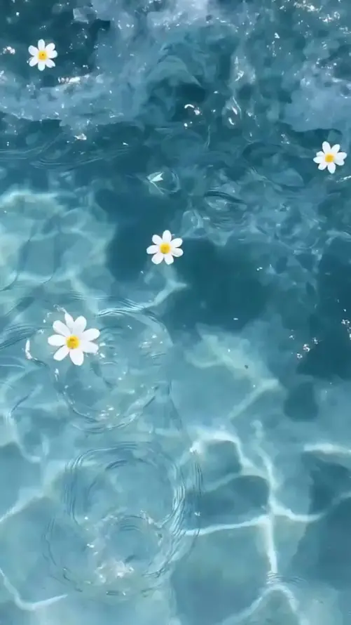 4k夏日壁纸 - 清凉 - 清新 - 湖水「哲风壁纸」