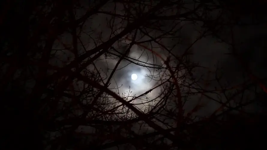 2k圆月壁纸-夜景 - 夜空-幽夜「哲风壁纸」