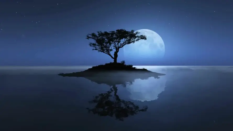 2k倒影壁纸-夜幕 - 夜景-孤树「哲风壁纸」