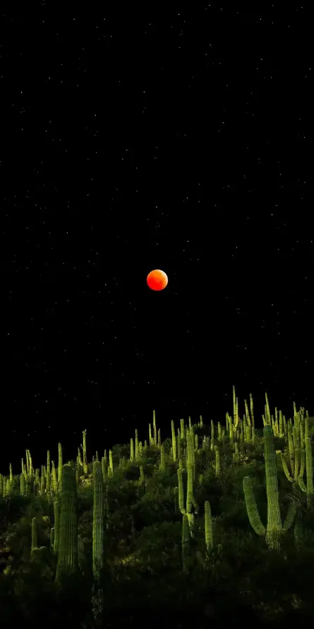 4k壁纸壁纸 - 夜空 - 手机 - 星空「哲风壁纸」