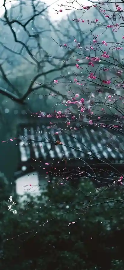 4k园林壁纸 - 庭院 - 景深 - 枝头「哲风壁纸」