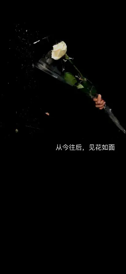 4k单花壁纸 - 摄影 - 景深 - 暗黑「哲风壁纸」