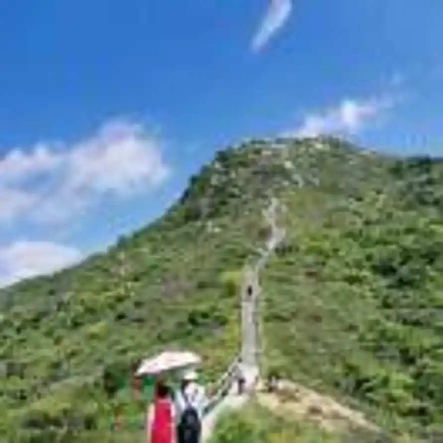 碩頭的头像