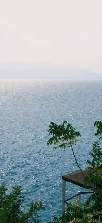 4k大海壁纸 - 宁静 - 树木 - 海洋「哲风壁纸」