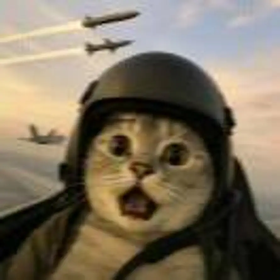 小熊硬糖的头像