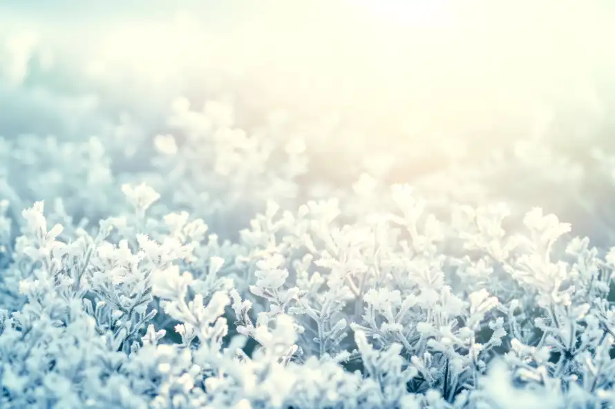 9k冬季壁纸-雪 - 冬日-冰晶「哲风壁纸」