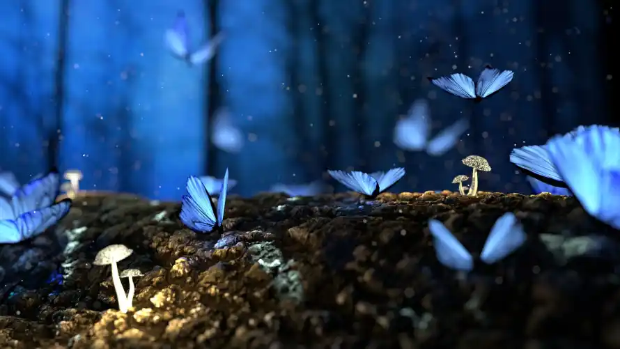4k发光壁纸-夜景 - 幻想-梦幻「哲风壁纸」