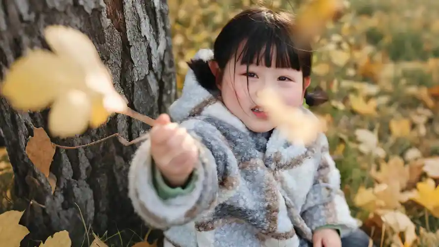 3k儿童壁纸-可爱 - 户外-树干「哲风壁纸」