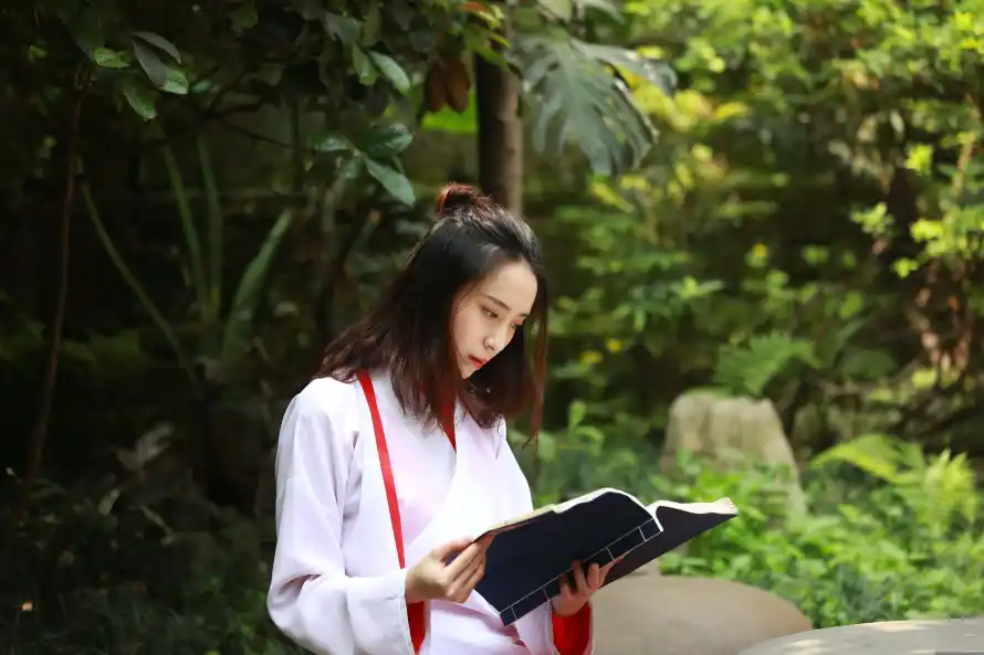 5k休闲壁纸-夏天 - 绿植-阅读「哲风壁纸」