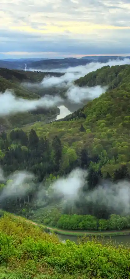 4k云雾壁纸 - 山脉 - 山谷 - 晨雾「哲风壁纸」