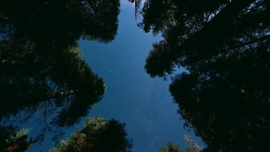 2k仰拍壁纸-夜晚 - 夜空-户外「哲风壁纸」