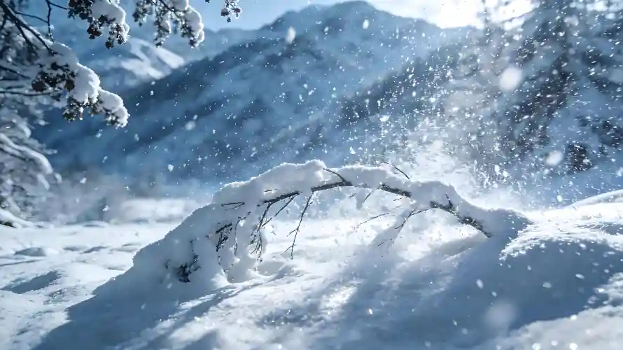 5k严寒壁纸-光影 - 冬日-冰雪「哲风壁纸」