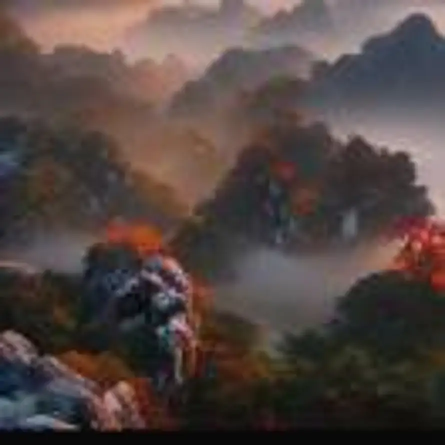 随风的头像