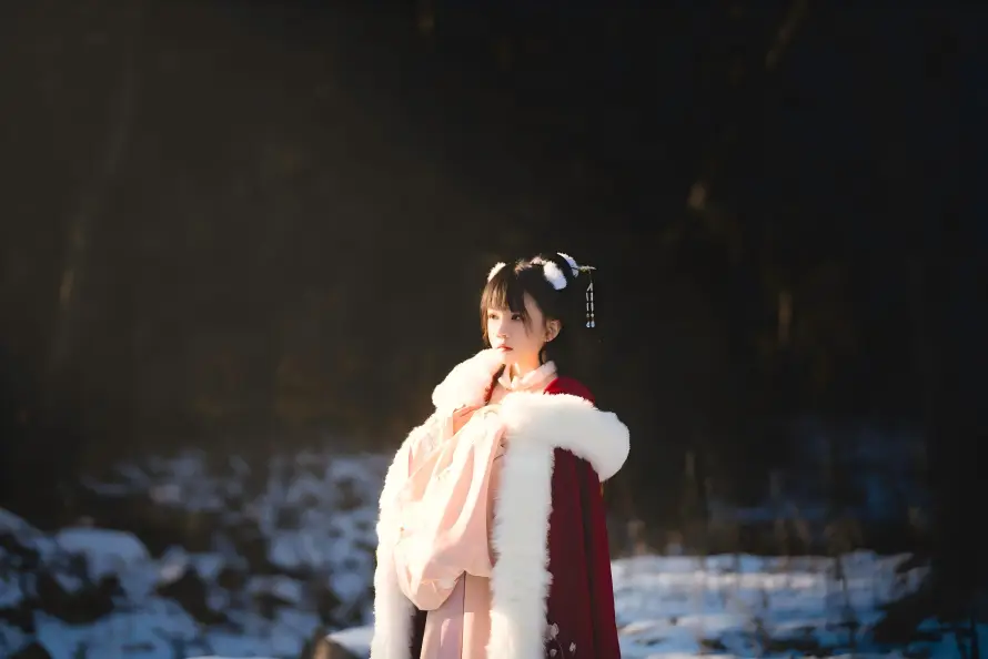 8k冬日壁纸-古风 - 户外-暖阳「哲风壁纸」