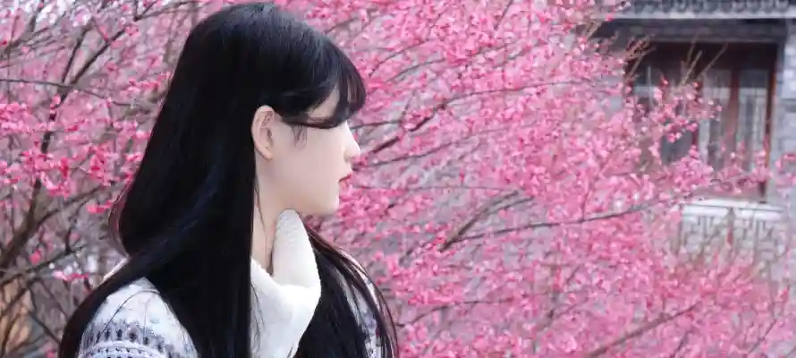 4k侧脸壁纸-春季 - 桃花-毛衣「哲风壁纸」