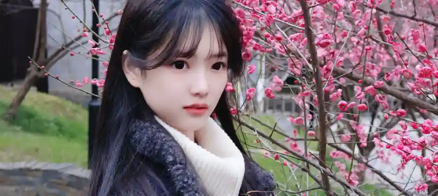 4k户外壁纸-春天 - 树木-桃花「哲风壁纸」