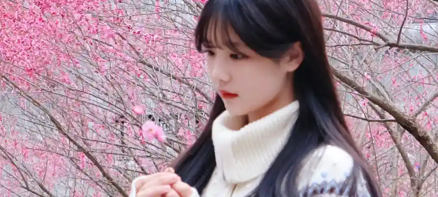4k少女壁纸-户外 - 梅花-清新「哲风壁纸」